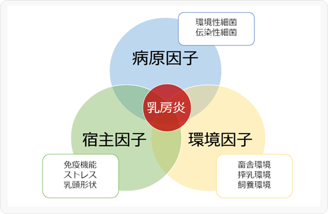 図3 乳房炎(感染症)発症の基本的な考え方